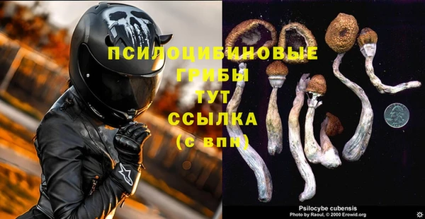 таблы Нефтегорск